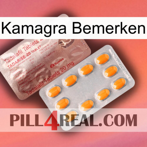 Kamagra Notice new13